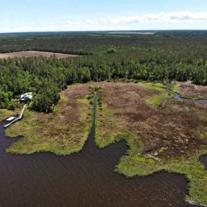 Photo of 5.6 Acres of Waterfront Hunting Fishing and Residential Land for Sale in Pamlico County NC!