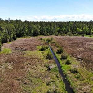 Photo of 5.6 Acres of Waterfront Hunting Fishing and Residential Land for Sale in Pamlico County NC!