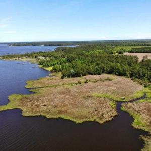 Photo of 5.6 Acres of Waterfront Hunting Fishing and Residential Land for Sale in Pamlico County NC!
