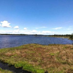 Photo of 5.6 Acres of Waterfront Hunting Fishing and Residential Land for Sale in Pamlico County NC!