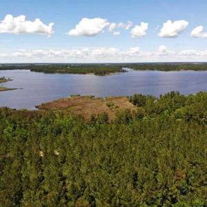 Photo of 5.6 Acres of Waterfront Hunting Fishing and Residential Land for Sale in Pamlico County NC!