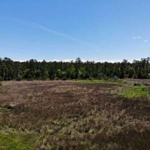 Photo of 5.6 Acres of Waterfront Hunting Fishing and Residential Land for Sale in Pamlico County NC!