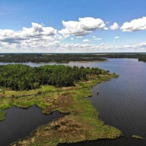 Photo of 5.6 Acres of Waterfront Hunting Fishing and Residential Land for Sale in Pamlico County NC!