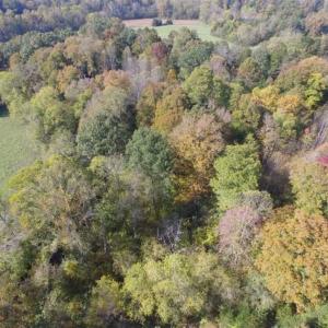 Photo of 30.79 Acres of Recreational Land For Sale in Lunenburg County VA!
