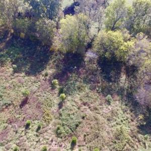Photo of 30.79 Acres of Recreational Land For Sale in Lunenburg County VA!