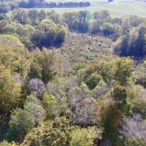 Photo of 30.79 Acres of Recreational Land For Sale in Lunenburg County VA!