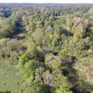 Photo of 30.79 Acres of Recreational Land For Sale in Lunenburg County VA!