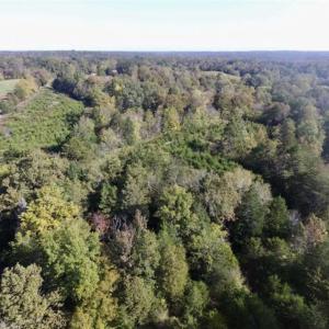 Photo of 30.79 Acres of Recreational Land For Sale in Lunenburg County VA!