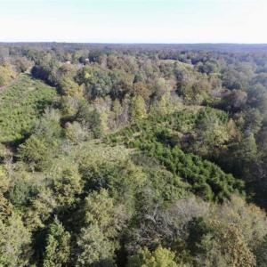 Photo of 30.79 Acres of Recreational Land For Sale in Lunenburg County VA!