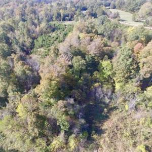 Photo of 30.79 Acres of Recreational Land For Sale in Lunenburg County VA!
