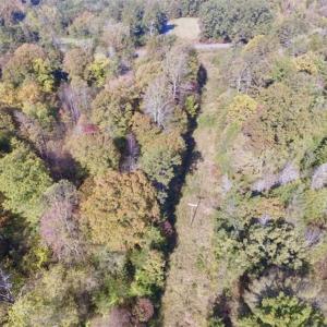 Photo of 30.79 Acres of Recreational Land For Sale in Lunenburg County VA!