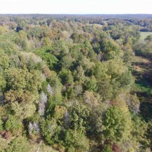 Photo of 30.79 Acres of Recreational Land For Sale in Lunenburg County VA!