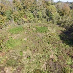 Photo of 30.79 Acres of Recreational Land For Sale in Lunenburg County VA!