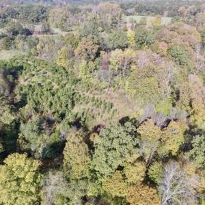 Photo of 30.79 Acres of Recreational Land For Sale in Lunenburg County VA!