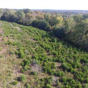 Photo of 30.79 Acres of Recreational Land For Sale in Lunenburg County VA!