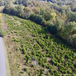 Photo of 30.79 Acres of Recreational Land For Sale in Lunenburg County VA!