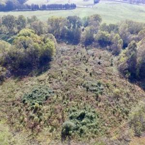 Photo of 30.79 Acres of Recreational Land For Sale in Lunenburg County VA!