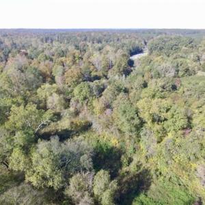 Photo of 30.79 Acres of Recreational Land For Sale in Lunenburg County VA!