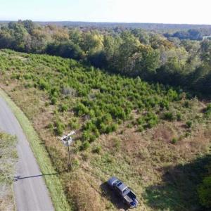 Photo of 30.79 Acres of Recreational Land For Sale in Lunenburg County VA!