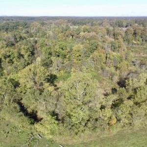 Photo of 30.79 Acres of Recreational Land For Sale in Lunenburg County VA!
