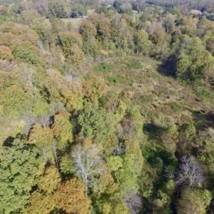 Photo of 30.79 Acres of Recreational Land For Sale in Lunenburg County VA!