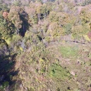 Photo of 30.79 Acres of Recreational Land For Sale in Lunenburg County VA!