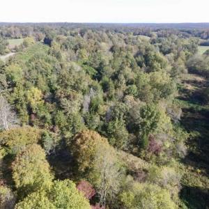 Photo of 30.79 Acres of Recreational Land For Sale in Lunenburg County VA!