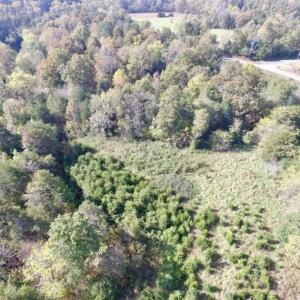 Photo of 30.79 Acres of Recreational Land For Sale in Lunenburg County VA!