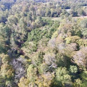 Photo of 30.79 Acres of Recreational Land For Sale in Lunenburg County VA!