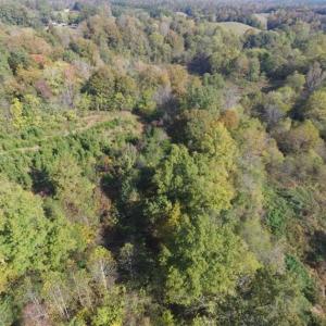 Photo of 30.79 Acres of Recreational Land For Sale in Lunenburg County VA!