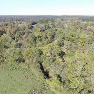 Photo of 30.79 Acres of Recreational Land For Sale in Lunenburg County VA!