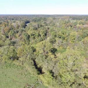 Photo of 30.79 Acres of Recreational Land For Sale in Lunenburg County VA!