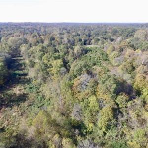 Photo of 30.79 Acres of Recreational Land For Sale in Lunenburg County VA!