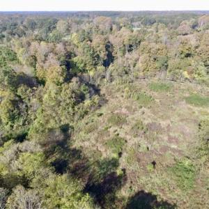 Photo of 30.79 Acres of Recreational Land For Sale in Lunenburg County VA!