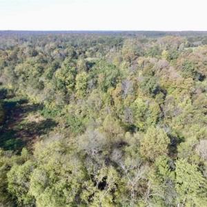 Photo of 30.79 Acres of Recreational Land For Sale in Lunenburg County VA!