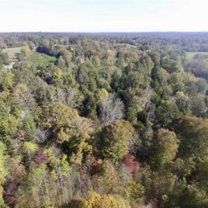 Photo of 30.79 Acres of Recreational Land For Sale in Lunenburg County VA!