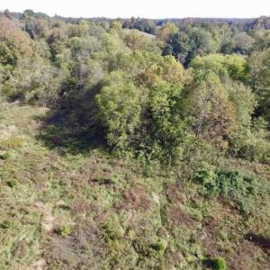 Photo of 30.79 Acres of Recreational Land For Sale in Lunenburg County VA!