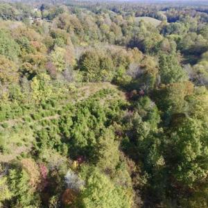 Photo of 30.79 Acres of Recreational Land For Sale in Lunenburg County VA!