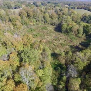 Photo of 30.79 Acres of Recreational Land For Sale in Lunenburg County VA!