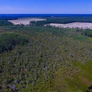 Photo of SOLD!!  547 Acres of Waterfront Hunting Land For Sale in Beaufort County NC!