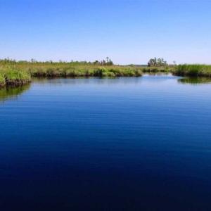 Photo of SOLD!!  547 Acres of Waterfront Hunting Land For Sale in Beaufort County NC!