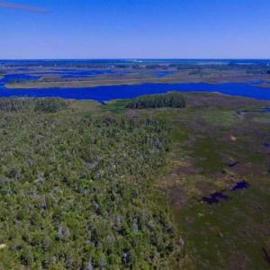 Photo of SOLD!!  547 Acres of Waterfront Hunting Land For Sale in Beaufort County NC!