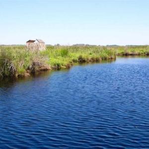 Photo of SOLD!!  547 Acres of Waterfront Hunting Land For Sale in Beaufort County NC!