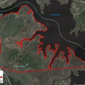 Photo of SOLD!!  547 Acres of Waterfront Hunting Land For Sale in Beaufort County NC!