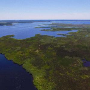 Photo of SOLD!!  547 Acres of Waterfront Hunting Land For Sale in Beaufort County NC!