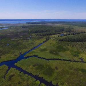 Photo of SOLD!!  547 Acres of Waterfront Hunting Land For Sale in Beaufort County NC!