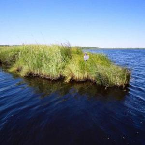 Photo of SOLD!!  547 Acres of Waterfront Hunting Land For Sale in Beaufort County NC!