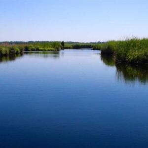 Photo of SOLD!!  547 Acres of Waterfront Hunting Land For Sale in Beaufort County NC!