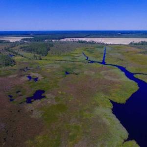 Photo of SOLD!!  547 Acres of Waterfront Hunting Land For Sale in Beaufort County NC!