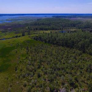Photo of SOLD!!  547 Acres of Waterfront Hunting Land For Sale in Beaufort County NC!